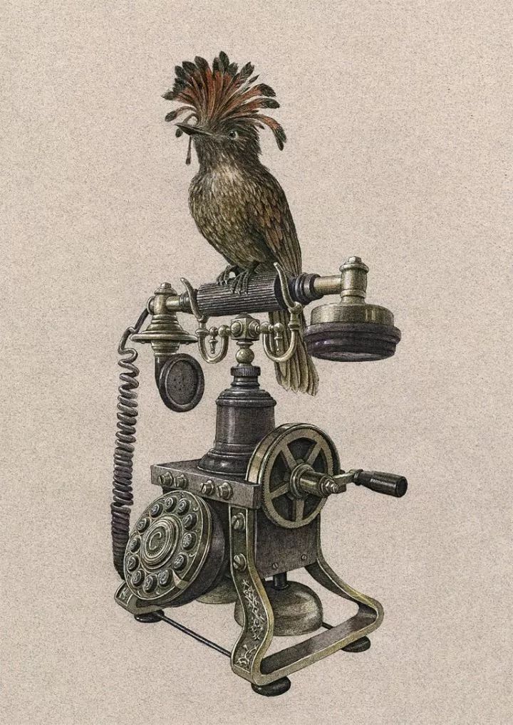 超好看的素描静物,超级惊艳的素描画