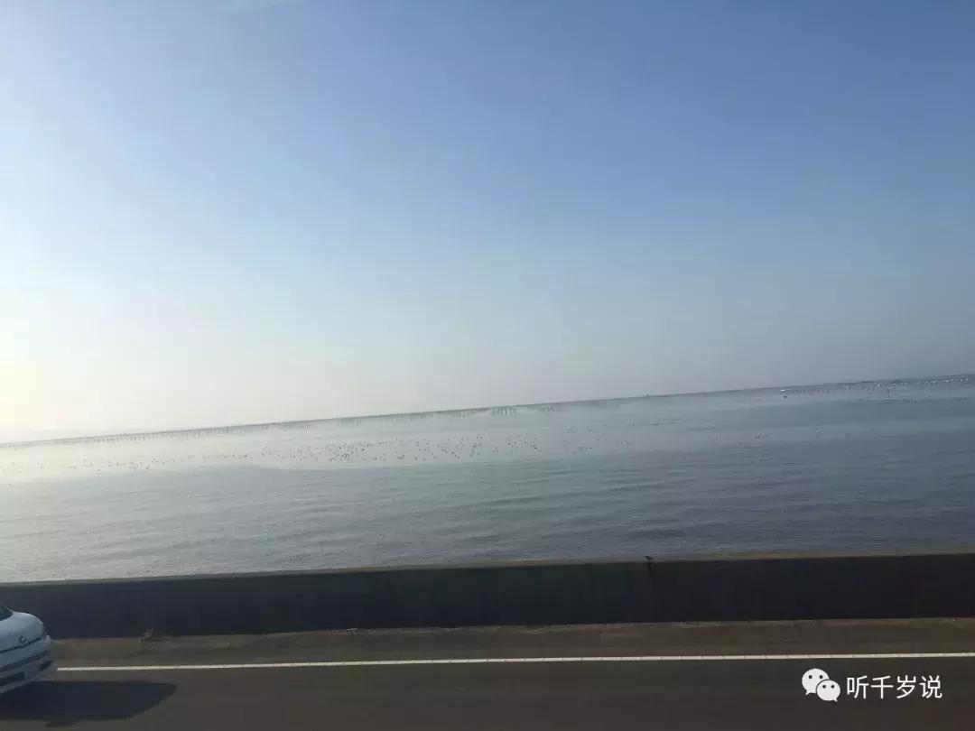 日本东京熊本熊,日本熊本游