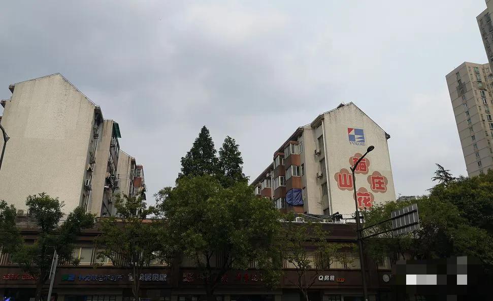 南京经典豪宅,南京开售前的顶级豪宅