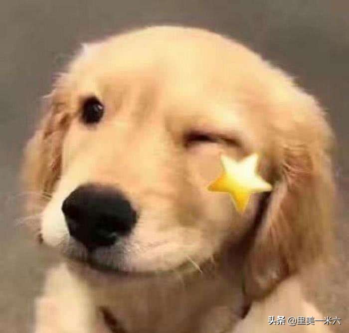 送喜欢的人520送什么礼物,520送男朋友实用礼物推荐