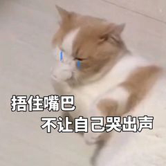 wpsppt字体丢失怎么办,ppt中的字体怎么删除