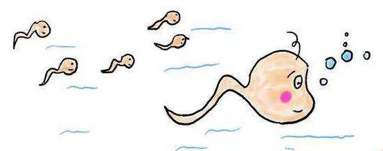 游泳池不仅有尿，有粑粑，还会感染那种病？？