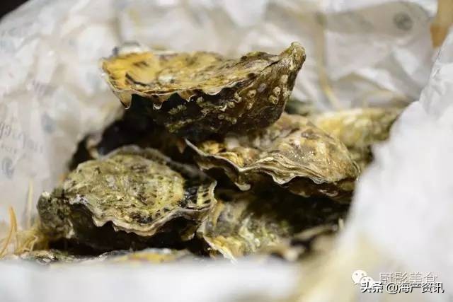 全世界顶级的4种海鲜,世界十大名贵海鲜