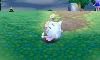 动物森友会什么时候能刷新,15年斯巴鲁森林人老款