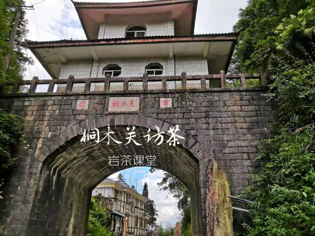 金骏眉茶外观什么样的好,正宗的金骏眉什么颜色