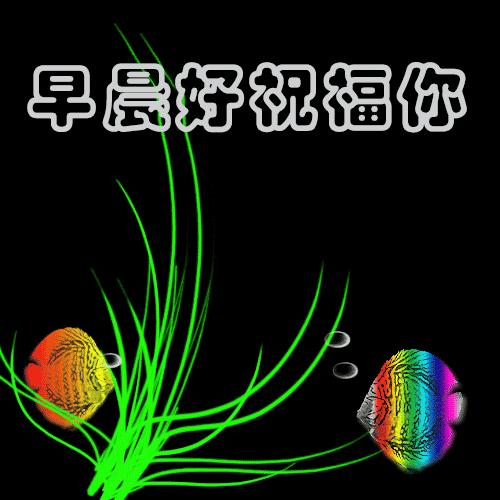 大家早上好祝福语动态图片大图,最新漂亮早上好祝福语动态表情图