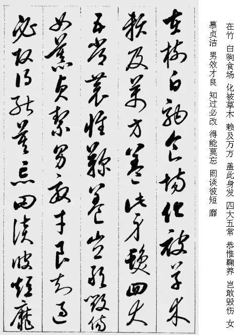 启功草书千字文完整版,启功《草书千字文》高清字帖