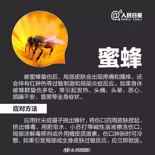 广西一女子被蚂蚁咬伤后不幸身亡,广西姑娘被一只蚂蚁咬到紧急住院