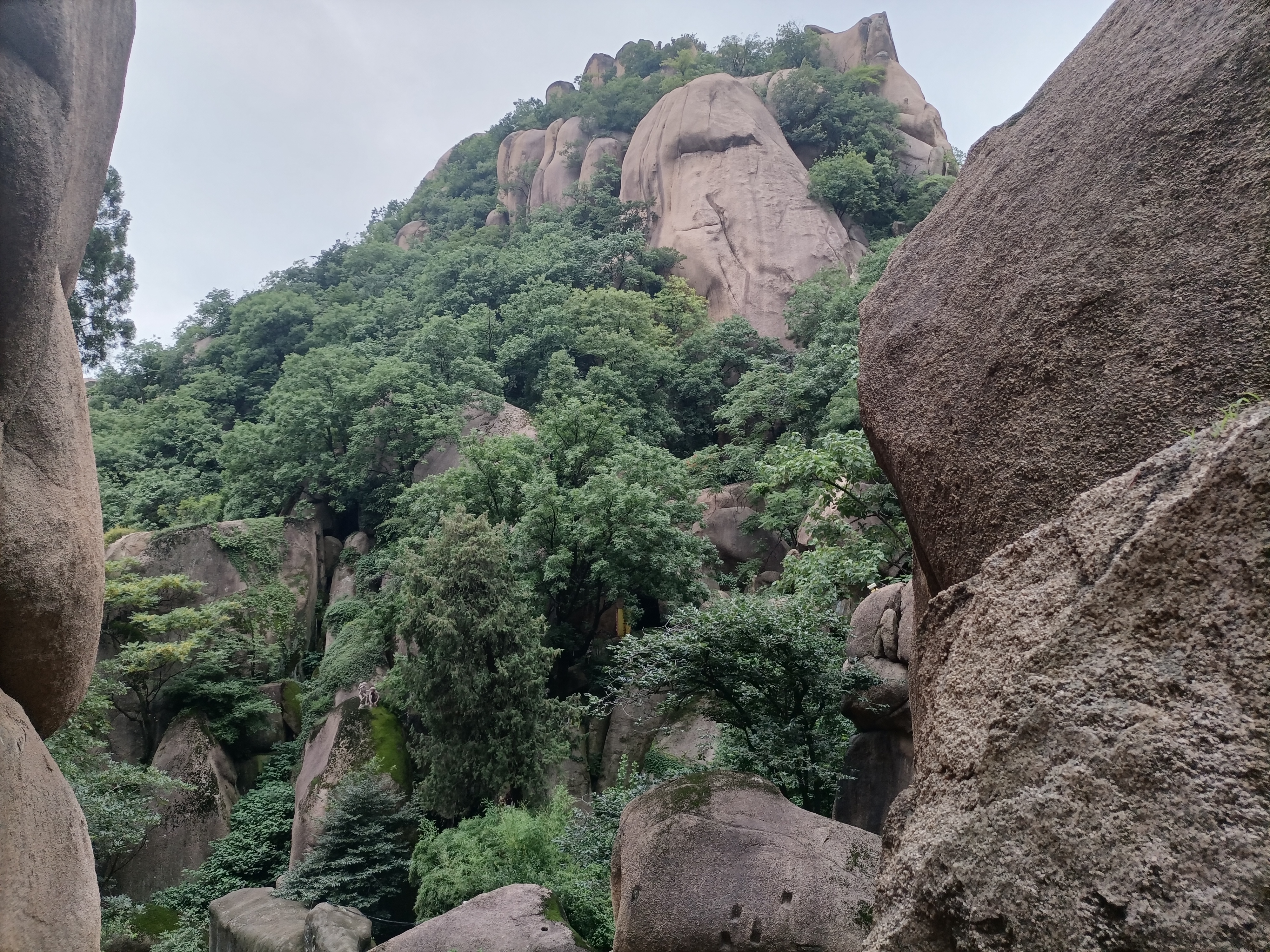信阳到嵖岈山距离,信阳嵖岈山