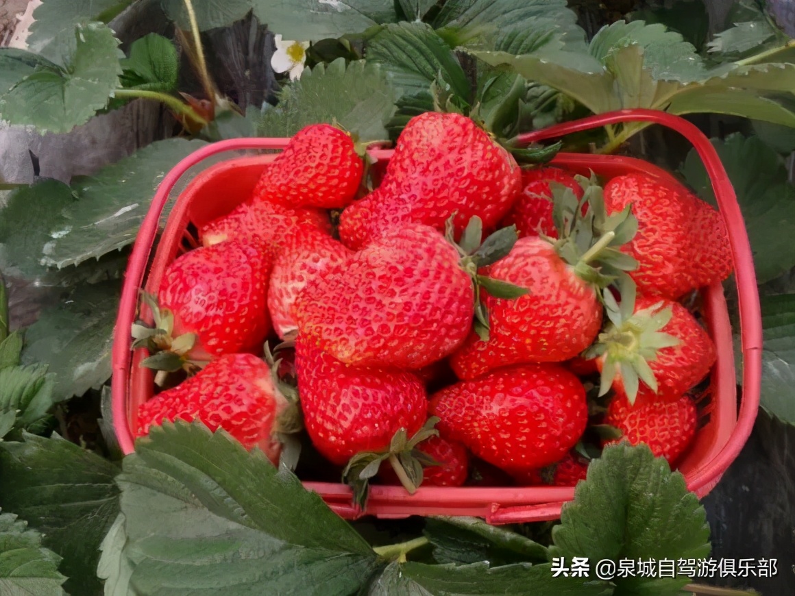 济南的自然风景推荐,济南自然风景好的地方