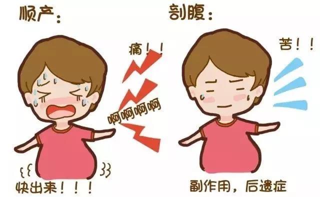 顺产和剖腹产哪个更讲究技术,顺产和剖腹产哪种不需要按肚子