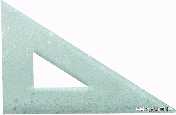 护考消化系统解剖图谱详解,消化系统解剖生理教学