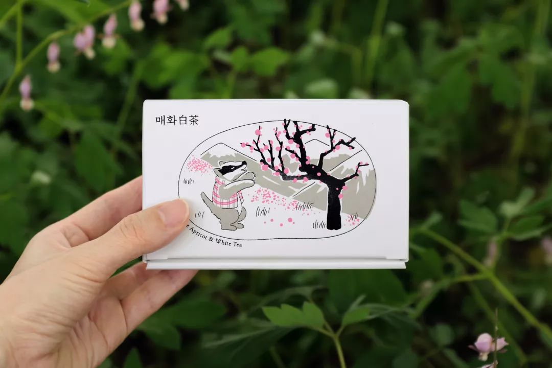 高颜值简单的茶叶包装,轻奢高档茶叶包装设计