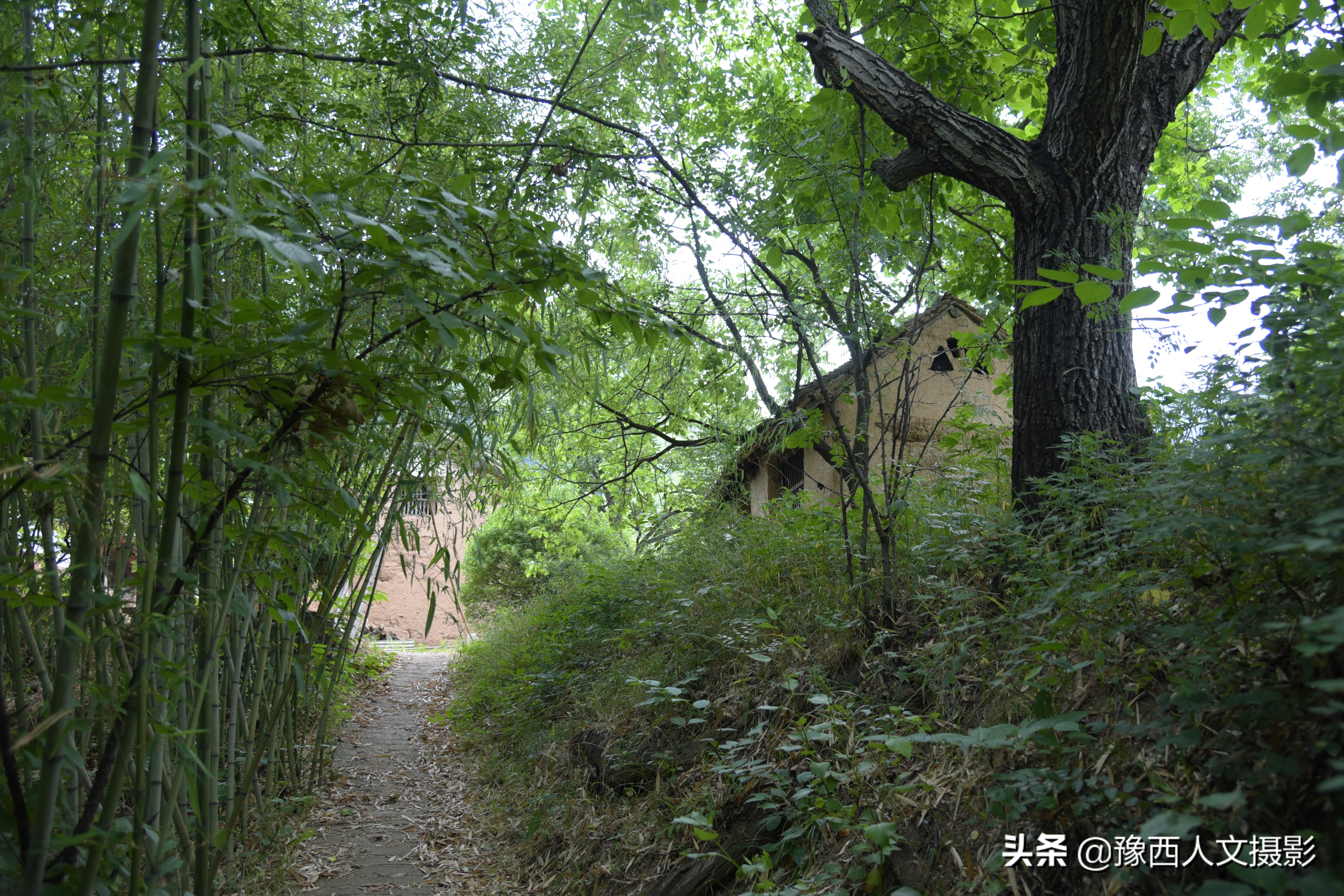 山里父亲10年前为儿子打算,藏一囤小麦两桶黄豆,娶媳妇却没用上