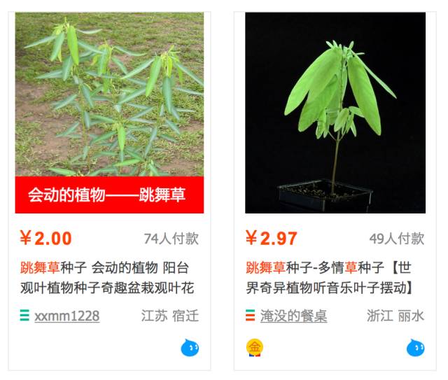 用动物做品牌宣传要版权吗,人工制作小动物宣传