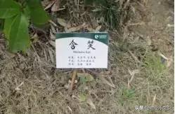 物业人文关怀服务,物业亲情化服务方案