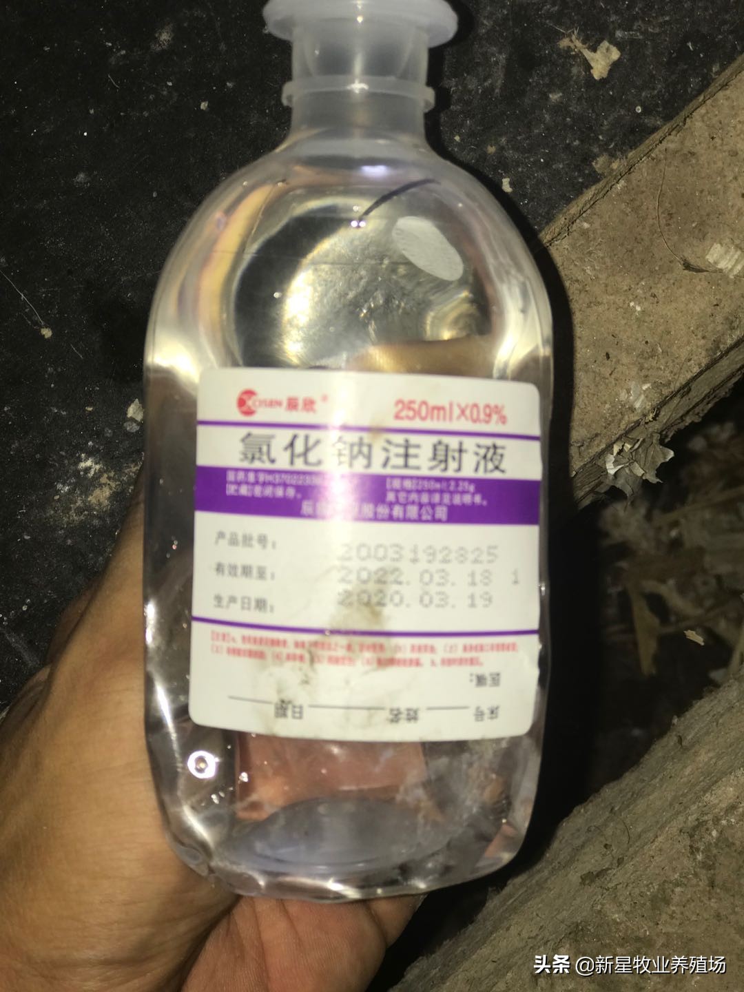 羊养殖常用的紧急药物,养殖羊的民间小偏方