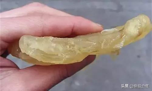 花胶的种类和区别,花胶一共有几种类型的品种