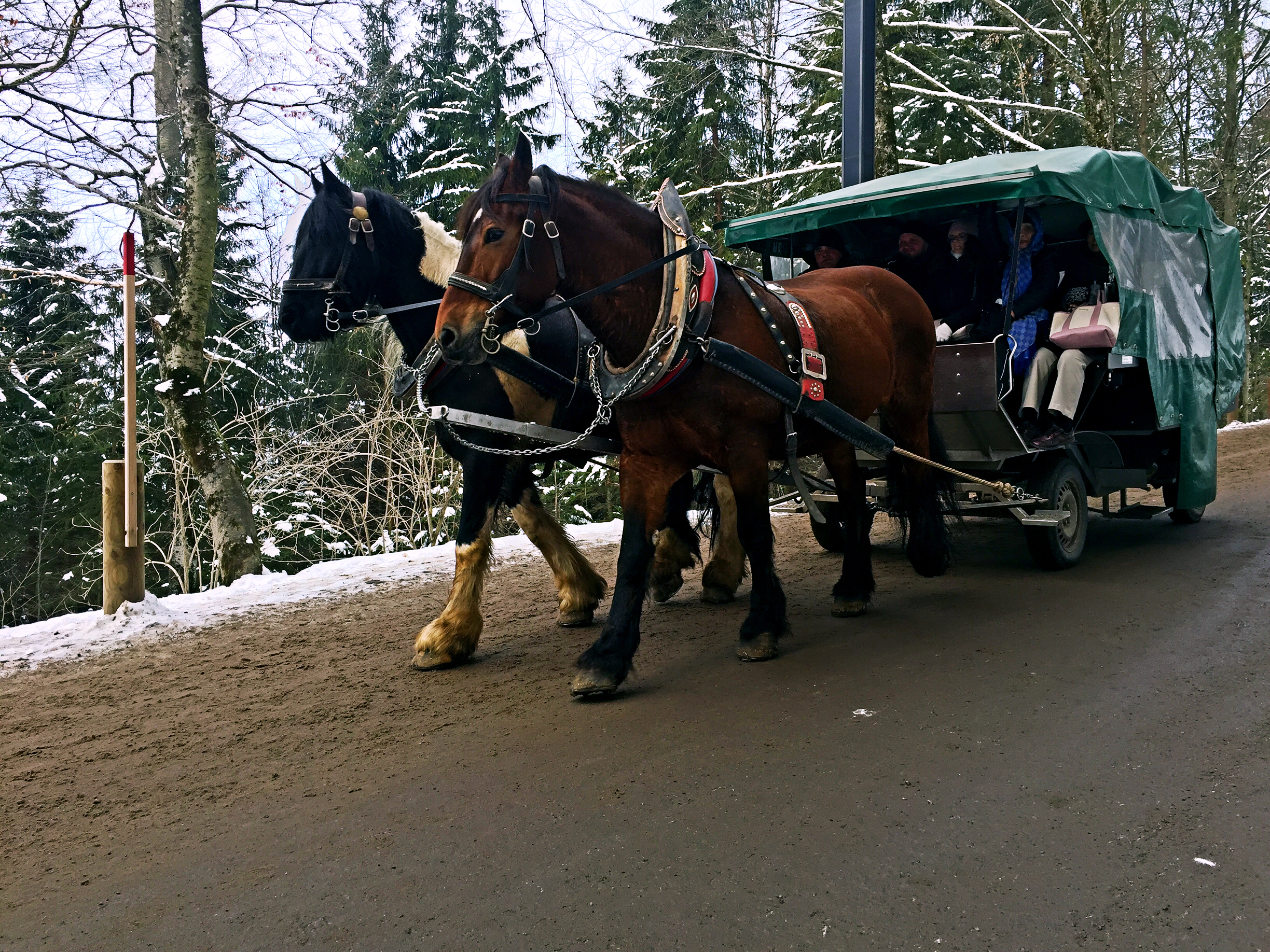 去过德国的真实感受,你不知道的国家冷知识德国篇