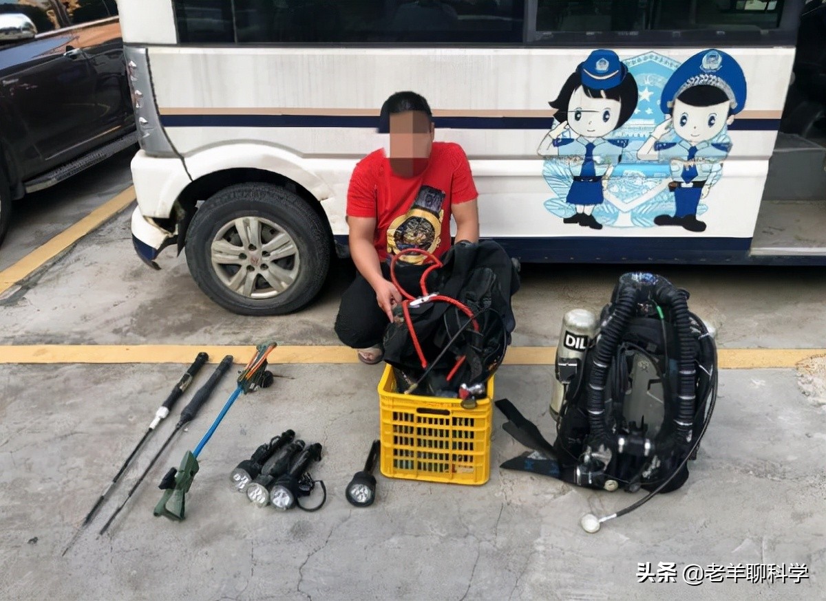 三男子猎捕芝麻剑被刑拘,3男子猎捕芝麻剑被刑拘