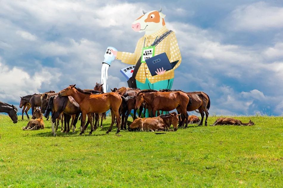 呼和浩特奶萌兽：足球摔跤样样行，体育课代表非他莫属丨Mr.Data