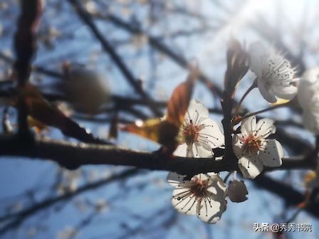 薛山个人简历,薛山长诗词作品