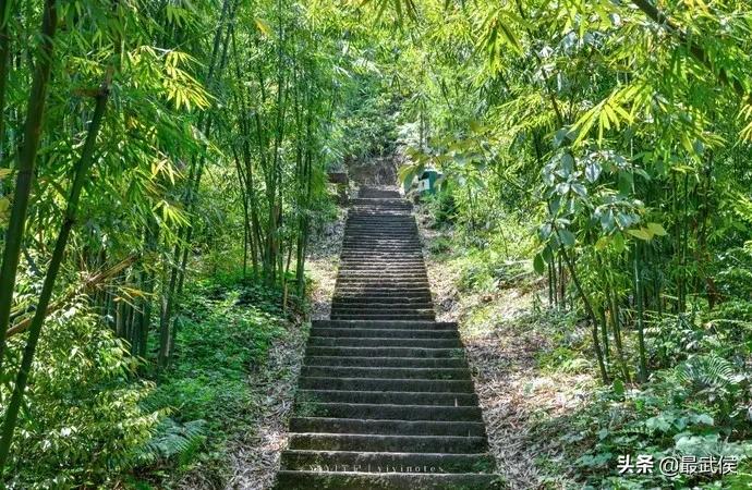 温度升高之前采摘樱桃,成都周边可摘樱桃的古镇