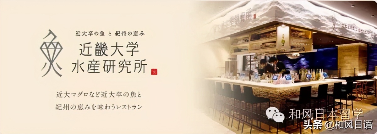 曾被嘲笑“变态”,但人气高居第一的近畿大学