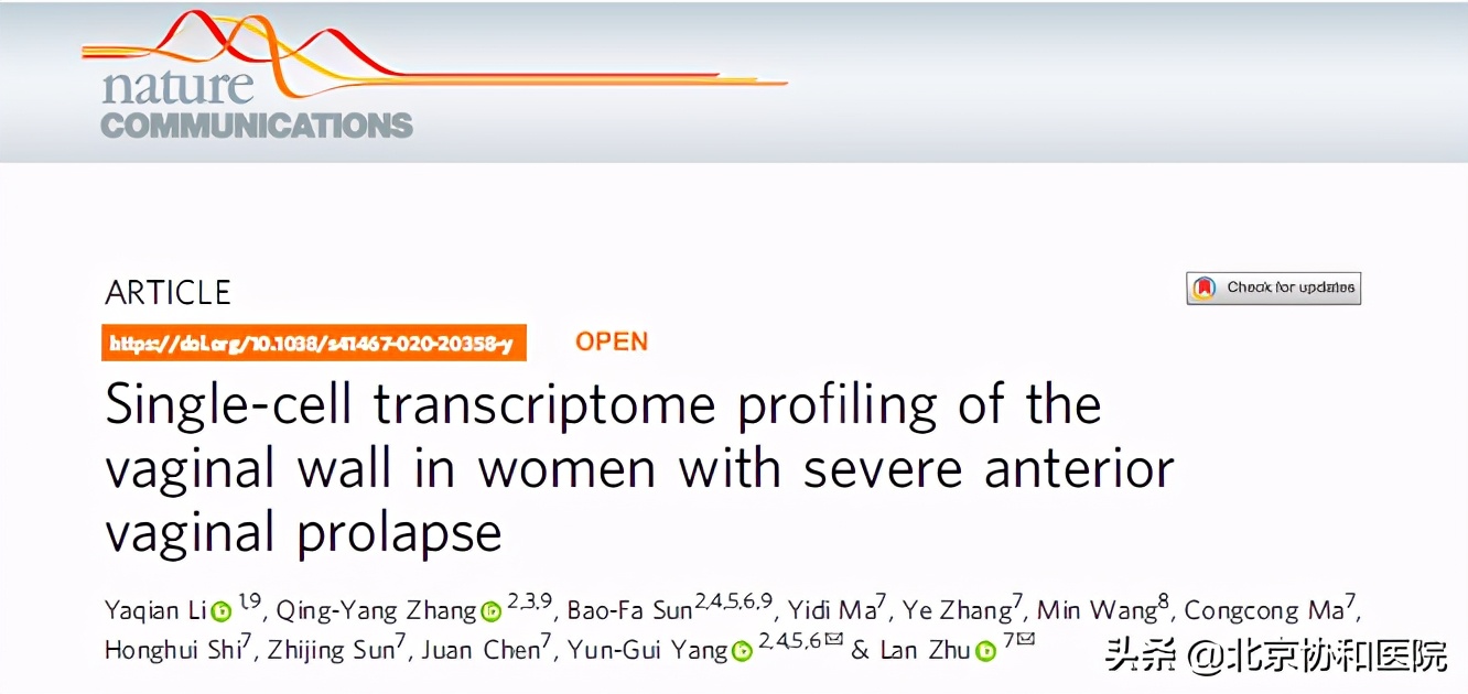协和医院妇产科专家朱兰教授,协和妇科朱兰