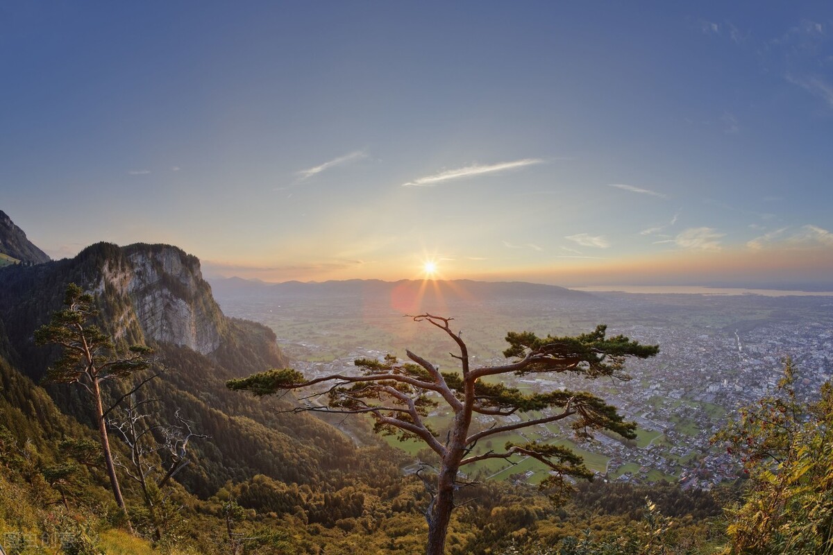 王世亮本人,王世亮莱阳