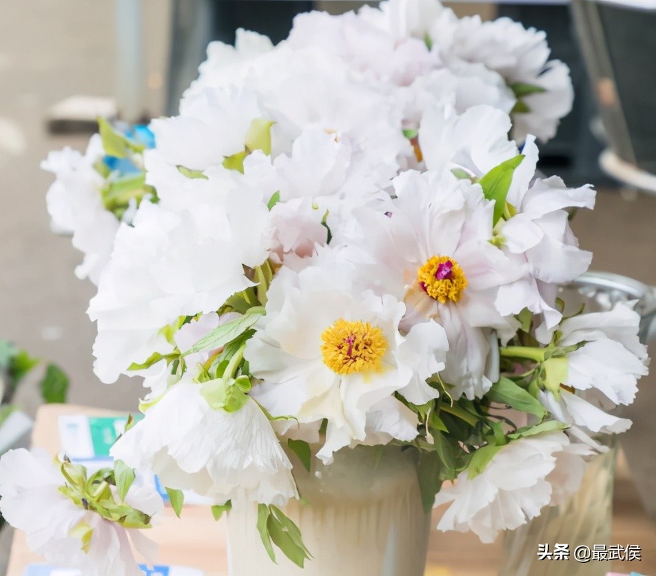 超便宜！成都铁轨下的花市5元买回一个春天！