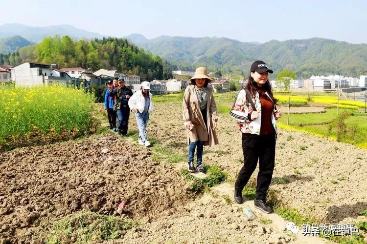 镇巴最美四月天——碾子