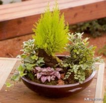 在深圳开花店怎么运营,深圳花店免费教学视频