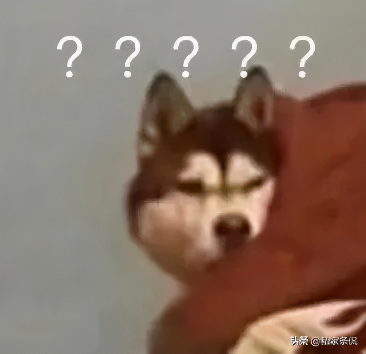 打码师怎么样了,打码师照片