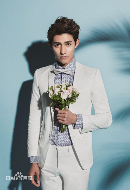 有哪些明星到岳阳来,湖南岳阳来明星