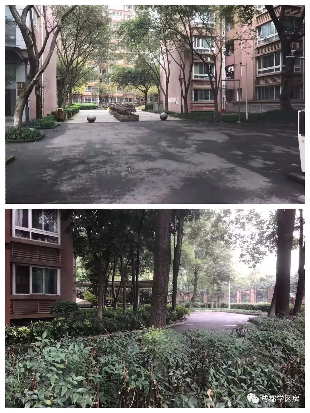 锦晖小学在成都市排名,成都锦晖小学的最新排名