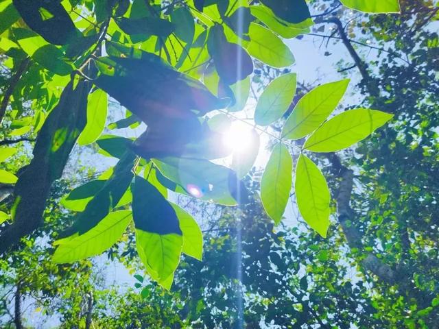 大情种的微信昵称是出于什么心理,用真名字做微信昵称性格分析