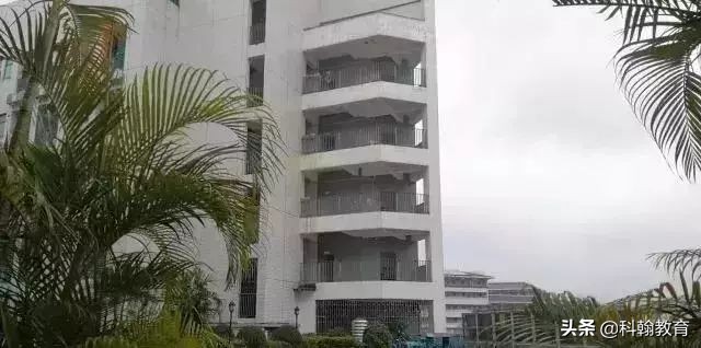 “人气王”宝安中学最强攻略！有宝中梦的不要错过