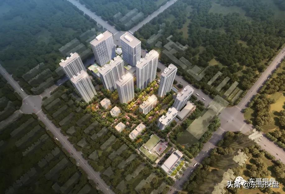 康桥最新规划,康桥最新发展