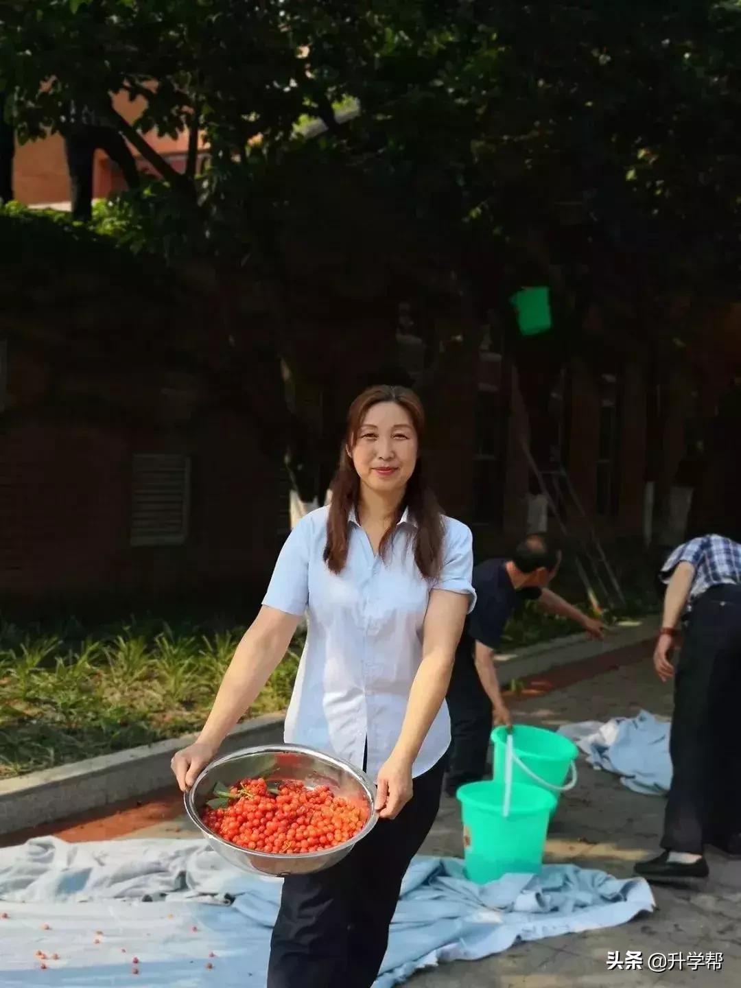 恩桃儿的视频,恩桃儿红了