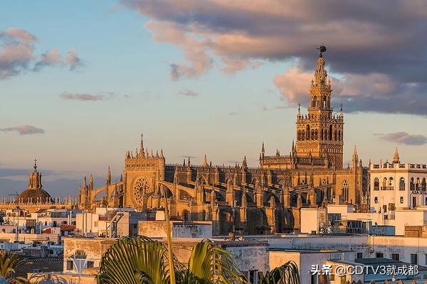 对话世界城市,对话世界的城市