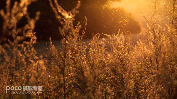 炫光攻略,眩光一招搞定