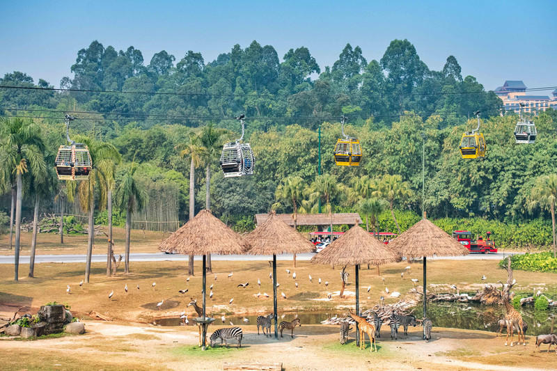 广州长隆野生动物世界的游玩攻略,广州长隆野生动物世界一日游回顾