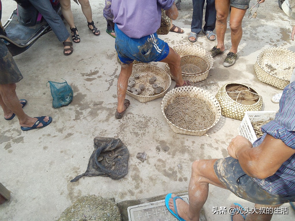 温岭吃海鲜,温岭禁渔期吃不到海鲜了吗