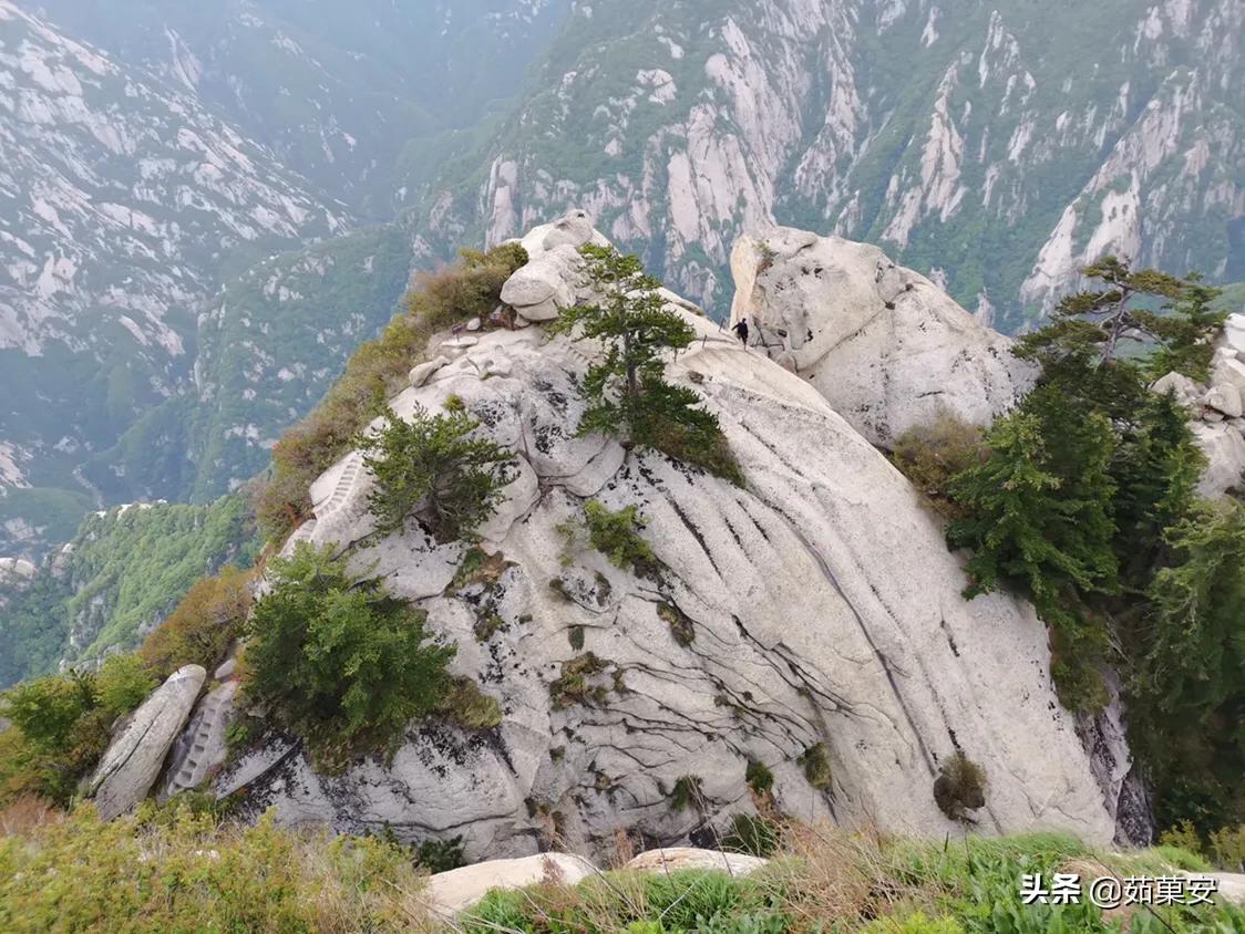 成年人的世界你需要明白,成年人的世界别动不动说爱我