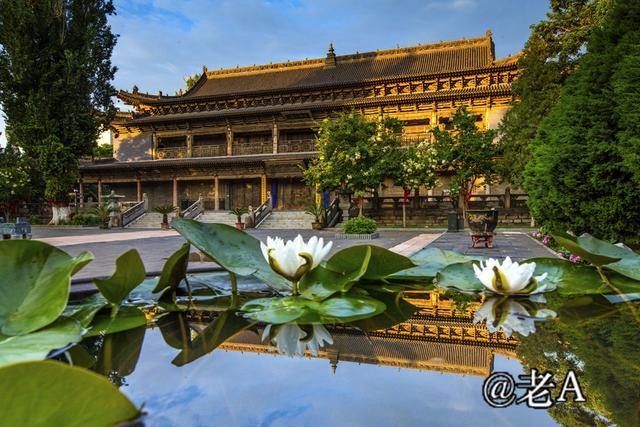 朋友们来张掖吧原视频,朋友来张掖吧