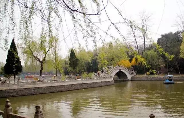 日照市区北京路和海曲路,日照海曲路逆行