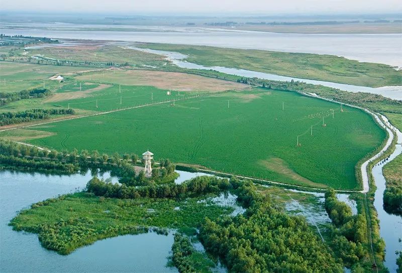 郑州未来发展趋势在哪个区,郑州2019年有啥规划没