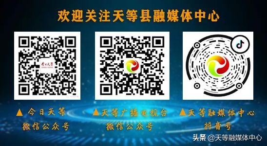 天等抢劫,天等抢钱案