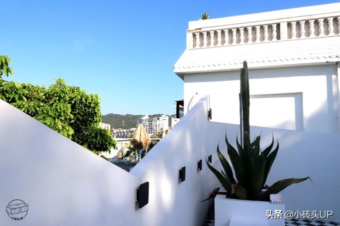 厦门的攻略,厦门的旅游攻略学生版